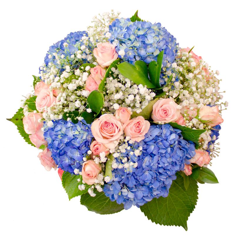Foto 4 Arreglo floral en florero con hortensias azules, minirosas rosadas y gypsophilas - Flores a domicilio Foto 4 Arreglo floral en florero con hortensias azules, minirosas rosadas y gypsophilas - Flores a domicilio