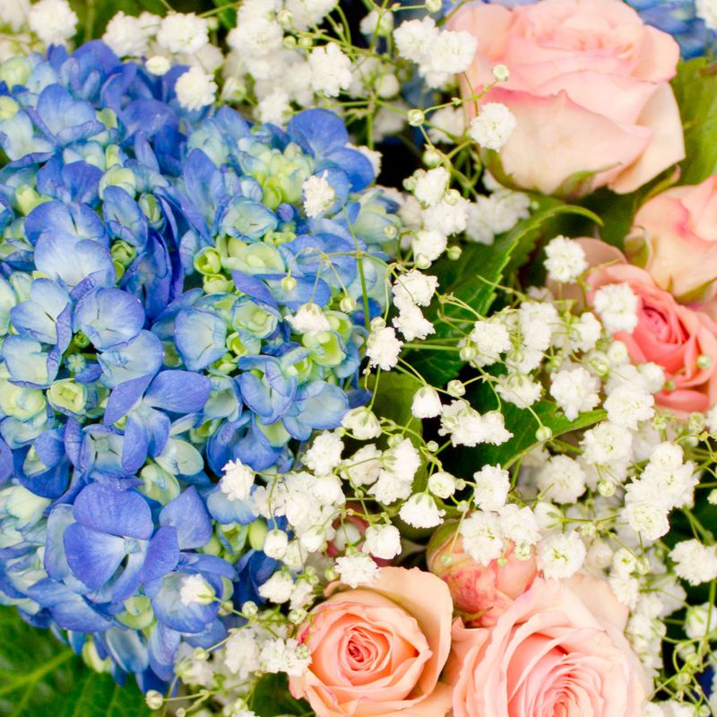 Foto 5 Arreglo floral en florero con hortensias azules, minirosas rosadas y gypsophilas - Flores a domicilio Foto 5 Arreglo floral en florero con hortensias azules, minirosas rosadas y gypsophilas - Flores a domicilio