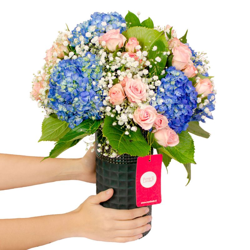 Foto con persona Arreglo floral en florero con hortensias azules, minirosas rosadas y gypsophilas - Flores a domicilio Foto con persona Arreglo floral en florero con hortensias azules, minirosas rosadas y gypsophilas - Flores a domicilio