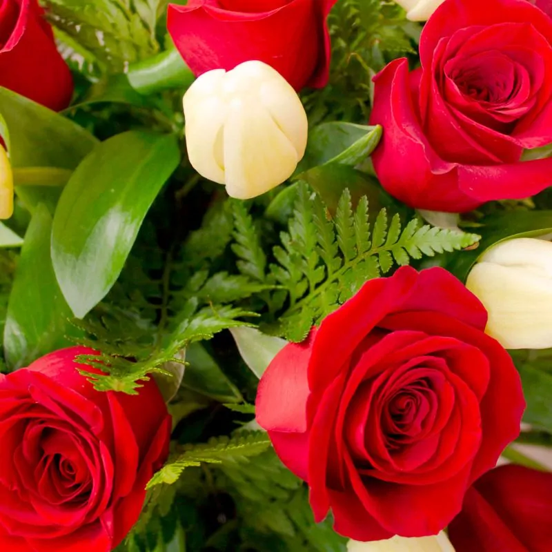 Foto 5 Dominga Rosas rojas y Tulipanes blancos - Arreglo floral con tulipanes blancos y rosas rojas