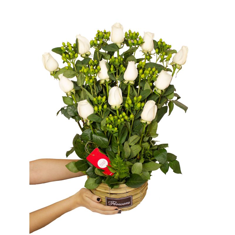 Foto con persona Jardín de rosas blancas - Flores a domicilio Foto con persona Jardín de rosas blancas - Flores a domicilio