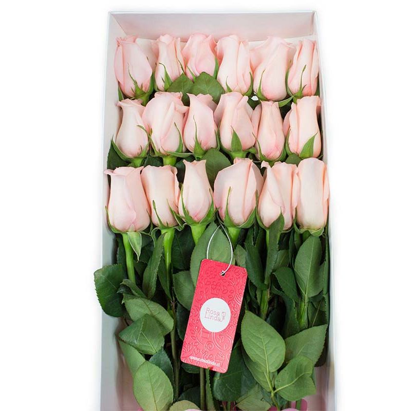 Flores a domicilio - Caja con 18 rosas rosadas Flores a domicilio - Caja con 18 rosas rosadas