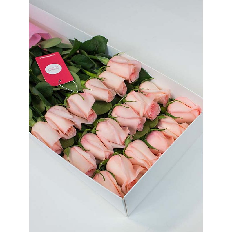 Foto 2 Caja con 18 rosas rosadas - Flores a domicilio Foto 2 Caja con 18 rosas rosadas - Flores a domicilio