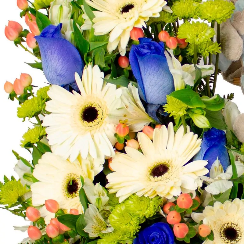 Foto 5 Gemelos - Arreglo floral para nacimiento de gemelos con peluches de osito, gerberas blancas, rosas azules, maules verdes e hypericum rosado