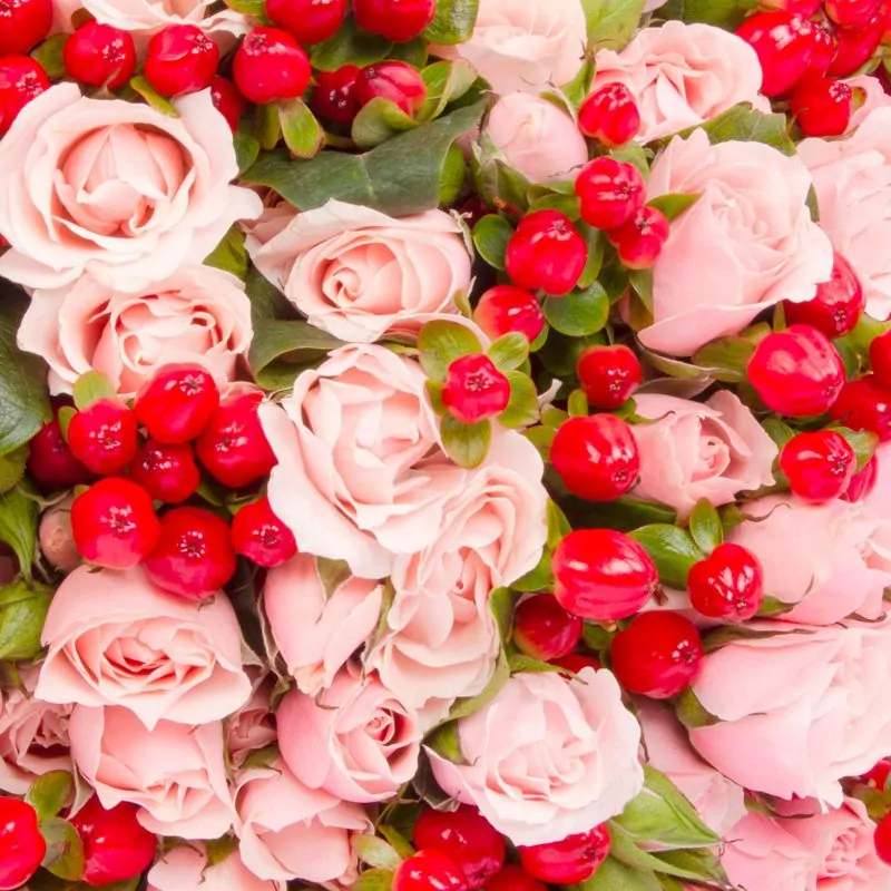 Foto 5 Ramo de flores - Ramo con minirosas rosadas e hypericum rojo