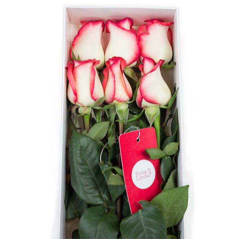 Flores a domicilio - Caja con 6 rosas bicolor blanco Flores a domicilio - Caja con 6 rosas bicolor blanco