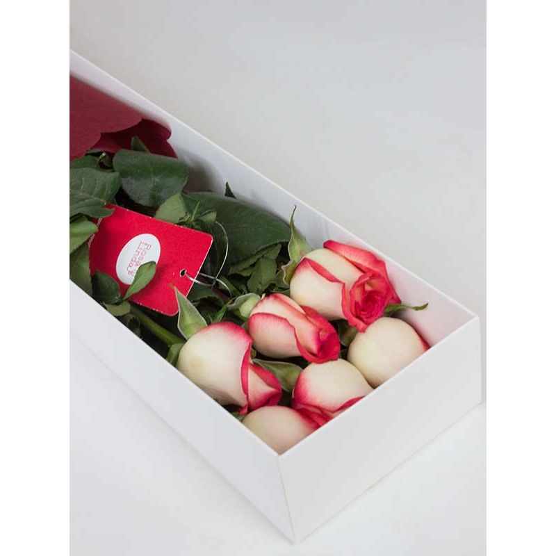 Foto 3 Caja con 6 rosas bicolor blanco - Flores a domicilio Foto 3 Caja con 6 rosas bicolor blanco - Flores a domicilio