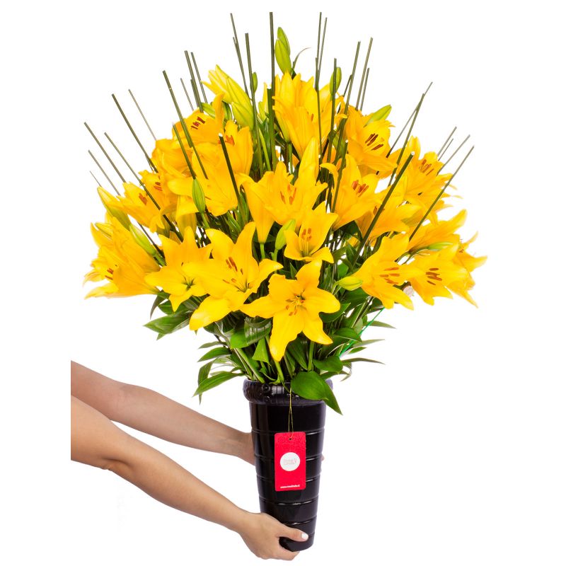 Foto con persona Jardín de Liliums Amarillos - Flores a domicilio Foto con persona Jardín de Liliums Amarillos - Flores a domicilio