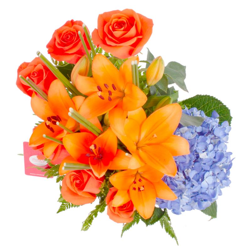 Foto 4 Magdalena Orange Crush - Flores a domicilio Foto 4 Magdalena Orange Crush - Flores a domicilio