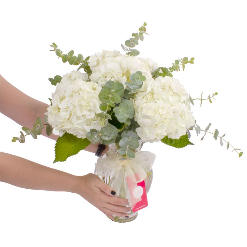 Foto con persona Amalia Blanco - Flores a domicilio Foto con persona Amalia Blanco - Flores a domicilio