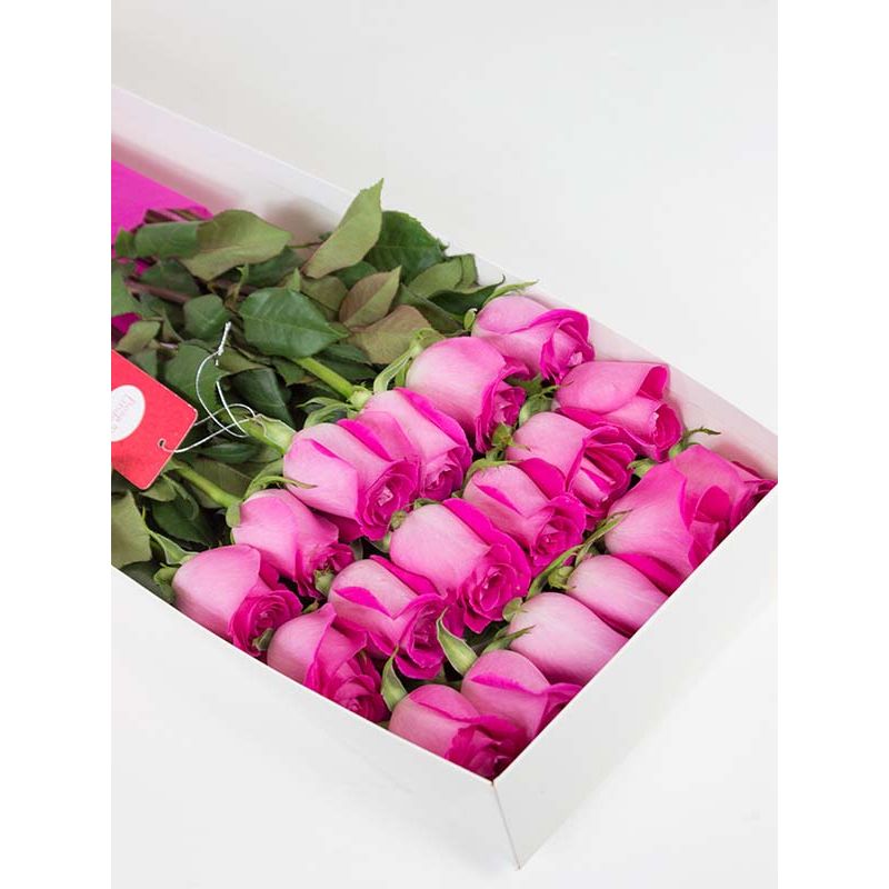 Foto 4 Caja con 18 rosas color Fucsia - Flores a domicilio Foto 4 Caja con 18 rosas color Fucsia - Flores a domicilio