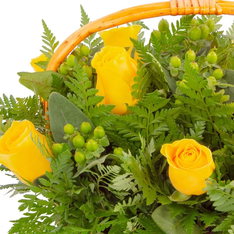 Foto 5 Ternura Amarillo - Canasto con rosas amarillas e hypericum verde