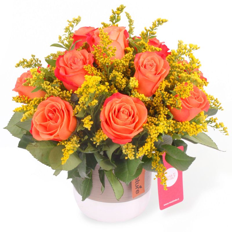 Flores a domicilio - Payqa Orange Crush Flores a domicilio - Payqa Orange Crush