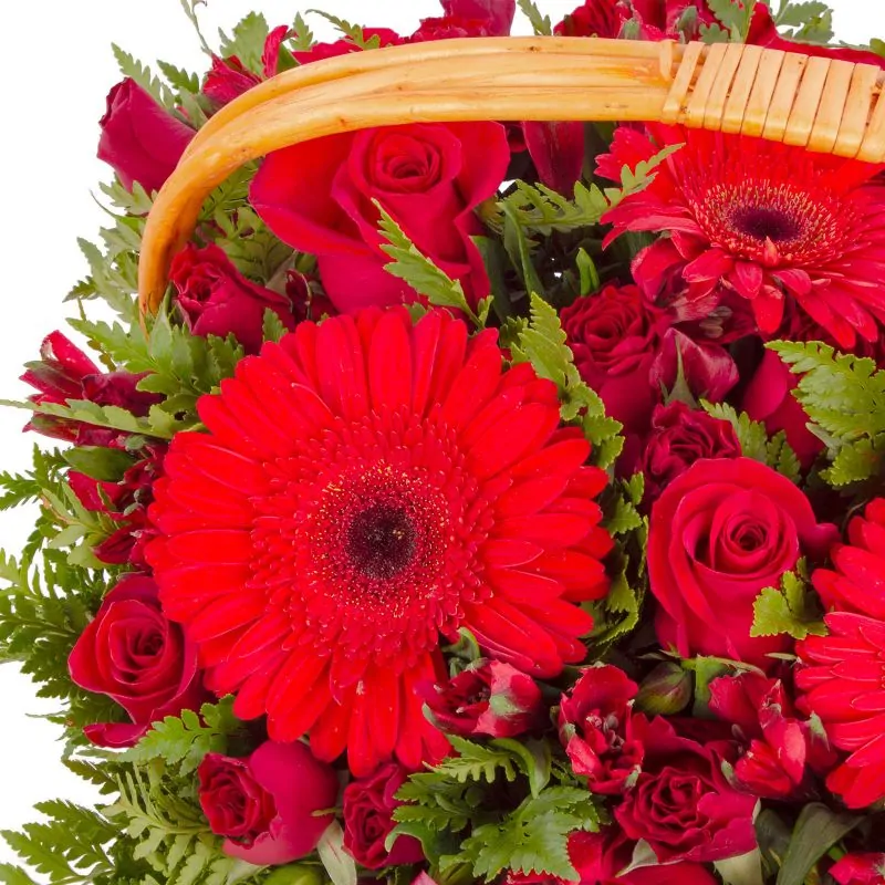 Foto 5 Constanza Rojo - Arreglo floral en canasto con gerberas, rosas, minirosas y astromelias rojas