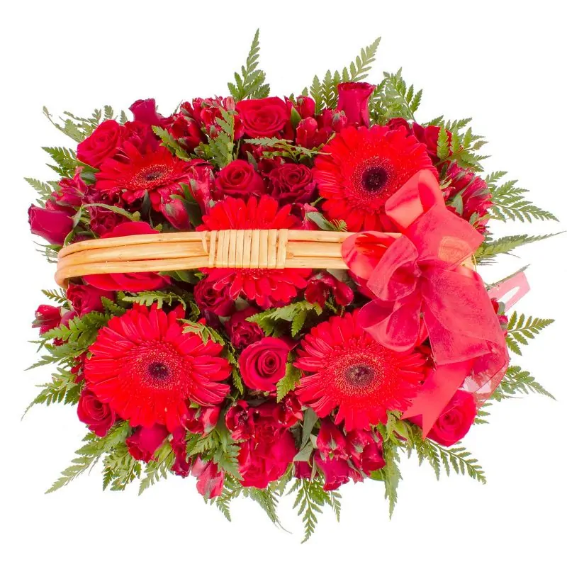 Foto 4 Constanza Rojo - Arreglo floral en canasto con gerberas, rosas, minirosas y astromelias rojas