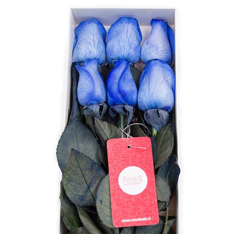 Flores a domicilio - Caja con 6 rosas Azules Flores a domicilio - Caja con 6 rosas Azules