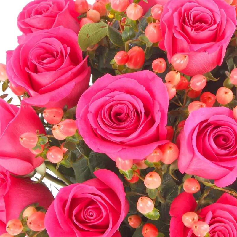 Foto 5 Antonia Fucsia - Arreglo floral en florero con 24 rosas fucsia e hypericum rosado