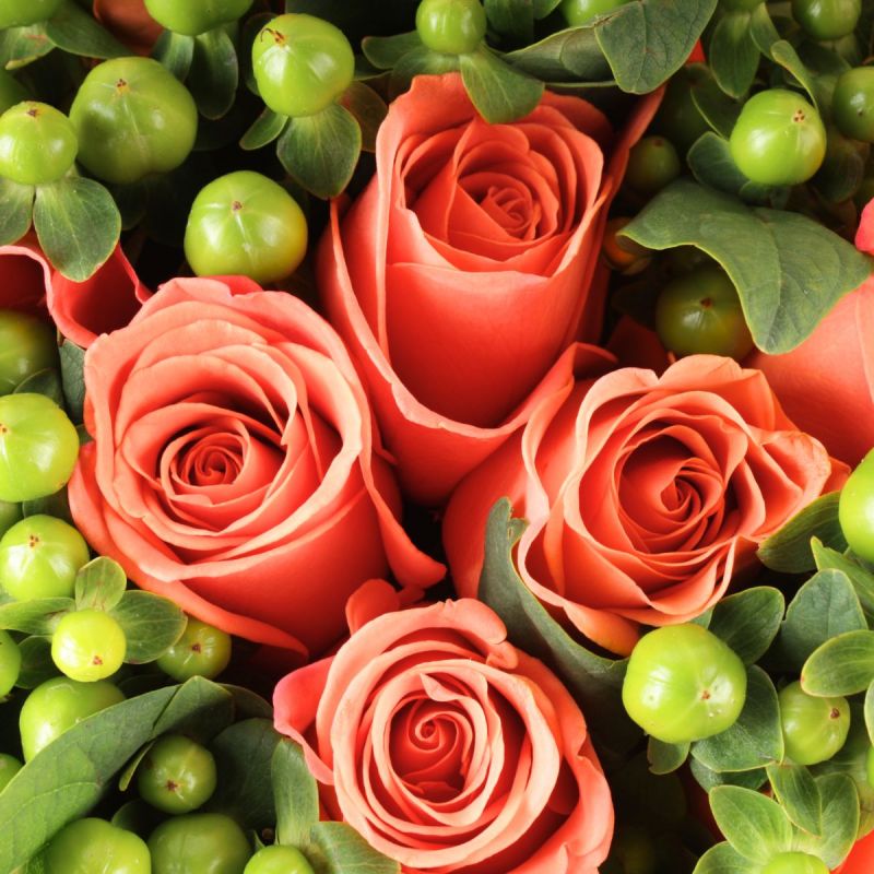 Foto 4 Ramo de rosas con Hypericum - Flores a domicilio Foto 4 Ramo de rosas con Hypericum - Flores a domicilio