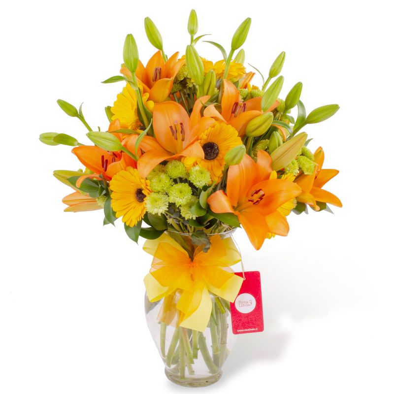 Sofía Amarillo - Arreglo floral en florero ánfora con liliums naranjos, gerberas amarillas y maules verdes Sofía Amarillo - Arreglo floral en florero ánfora con liliums naranjos, gerberas amarillas y maules verdes
