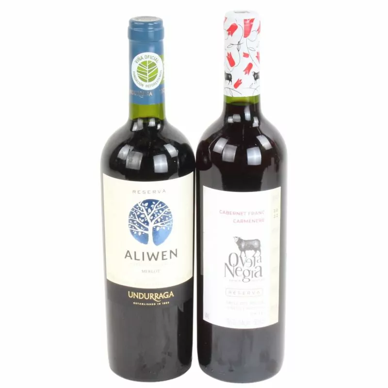 Foto 6 Set de regalo Valle de Colchagua - Canasto de mimbre con vinos y picoteo