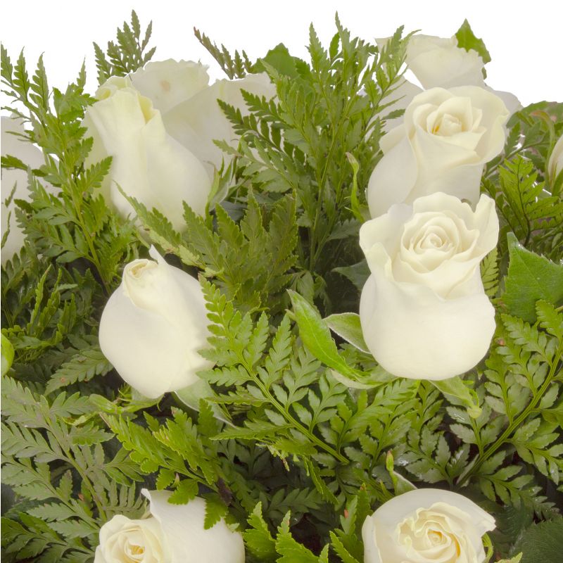 Foto 5 Consuelo rosas blancas - Flores a domicilio Foto 5 Consuelo rosas blancas - Flores a domicilio