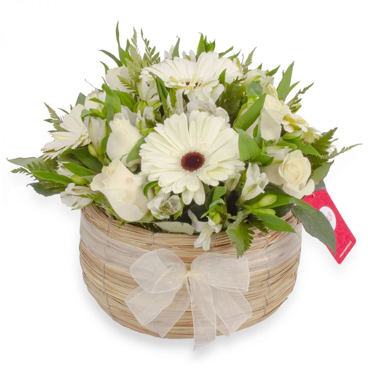 Foto principal Luz Rosas Blancas - Arreglo floral en canasto circular con gerberas blancas, rosas blancas y astromelias blancas