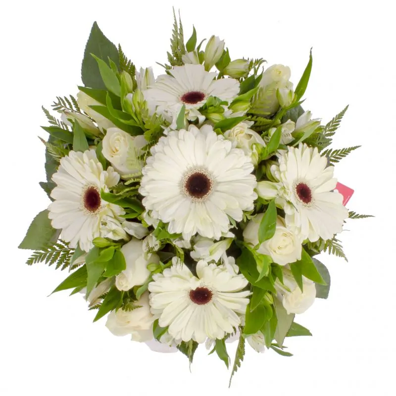Foto 4 Luz Rosas Blancas - Arreglo floral en canasto circular con gerberas blancas, rosas blancas y astromelias blancas