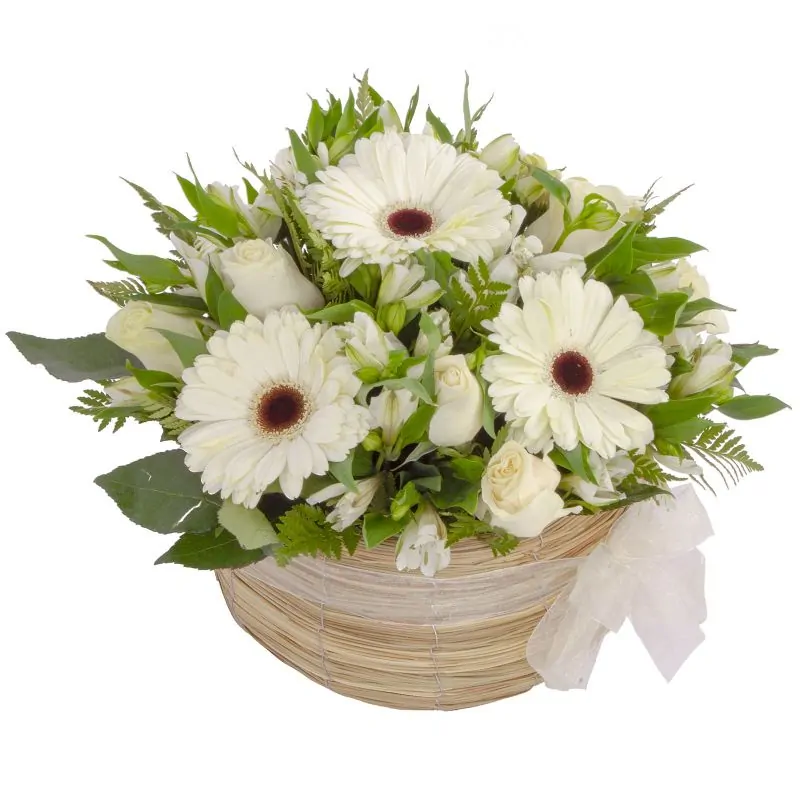 Luz Rosas Blancas - Arreglo floral en canasto circular con gerberas blancas, rosas blancas y astromelias blancas