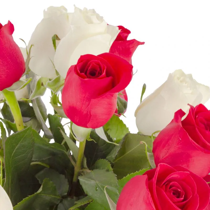 Foto 5 Amparo - florero ánfora con mix de 24 rosas blancas y rojas