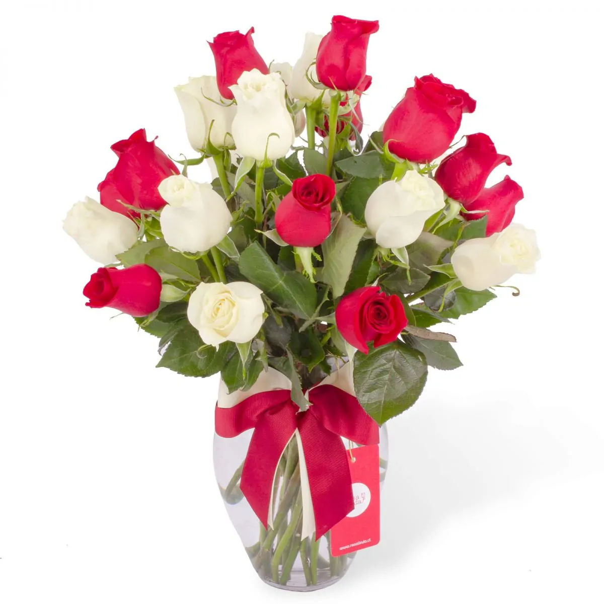 Foto principal Amparo - florero ánfora con mix de 24 rosas blancas y rojas