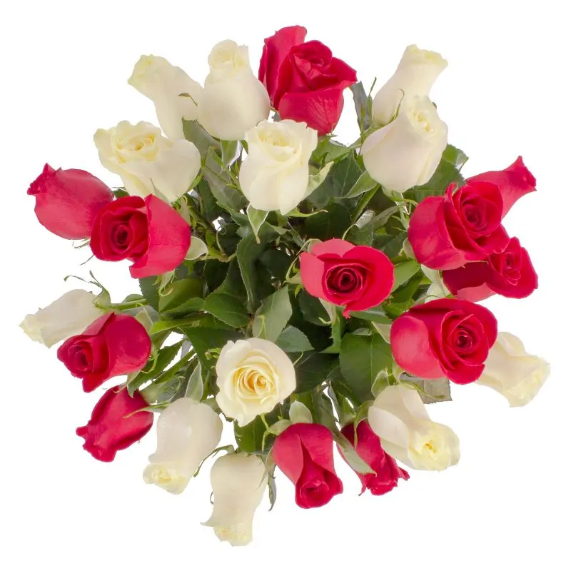 Foto 4 Amparo - florero ánfora con mix de 24 rosas blancas y rojas
