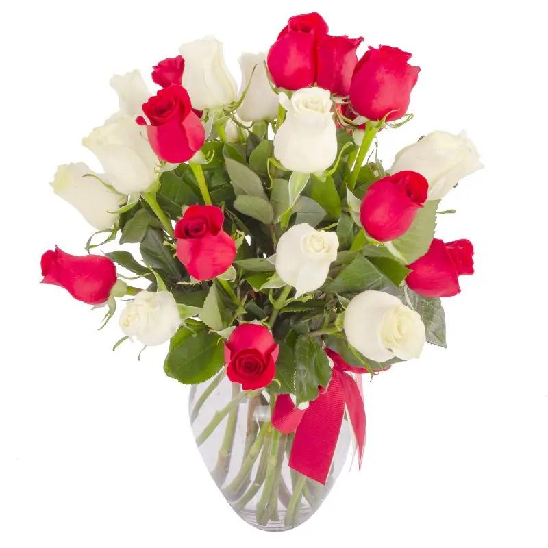 Foto 3 Amparo - florero ánfora con mix de 24 rosas blancas y rojas