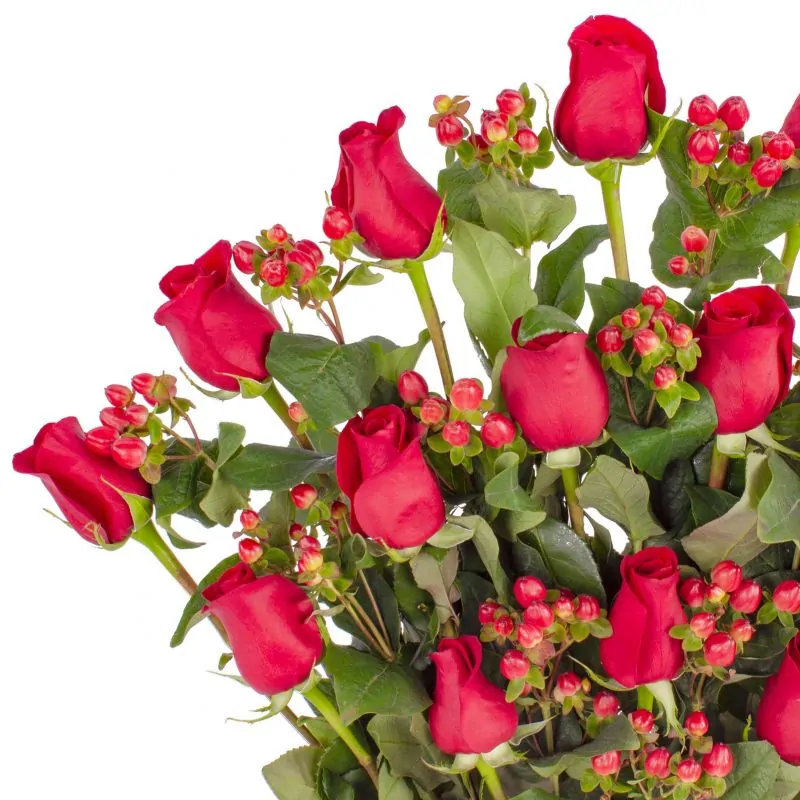 Foto 5 Jardín de Rosas Rojas - Arreglo floral con 16 rosas rojas e hypericum rojo