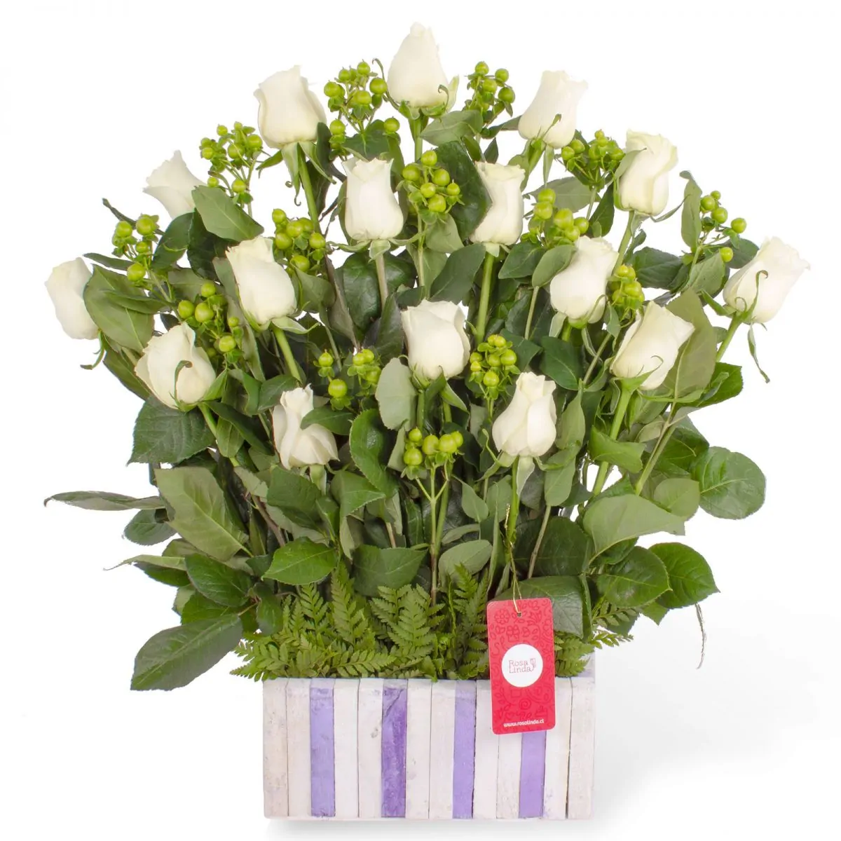 Foto principal Jardín de Rosas Blanco - Arreglo floral con 16 rosas blancas e hypericum verde
