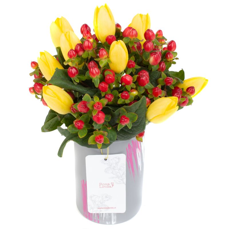 Flores a domicilio - Emma Amarillo Flores a domicilio - Emma Amarillo