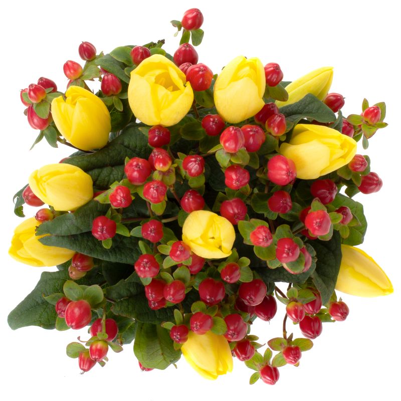Foto 4 Emma Amarillo - Flores a domicilio Foto 4 Emma Amarillo - Flores a domicilio