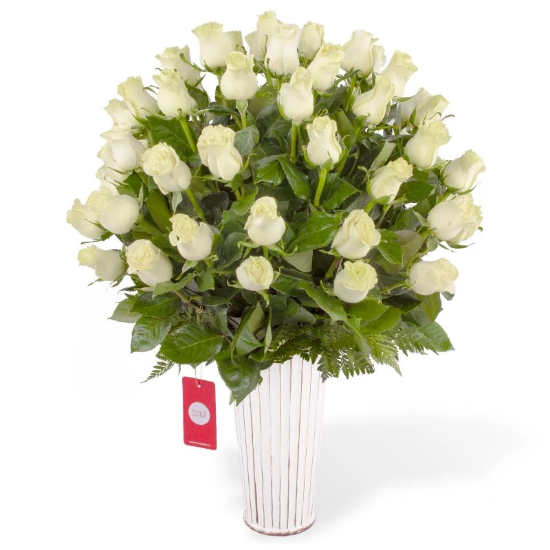 Carolina - Arreglo floral con 50 rosas blancas
