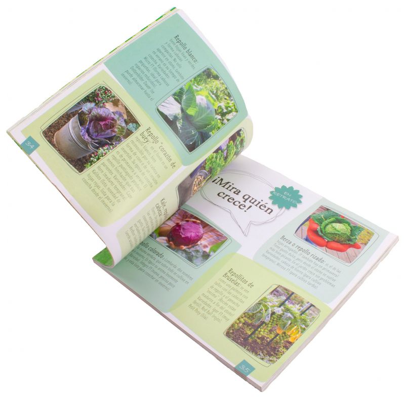 Foto 4 Libro Huerto para autoabastecerse en espacios pequeños - Flores a domicilio Foto 4 Libro Huerto para autoabastecerse en espacios pequeños - Flores a domicilio