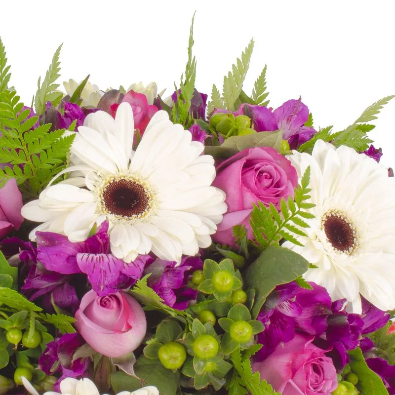 Foto 5 Josefa Lila - Arreglo floral con gerberas blancas, rosas ecuatorianas lilas, astromelias moradas e hypericum verde