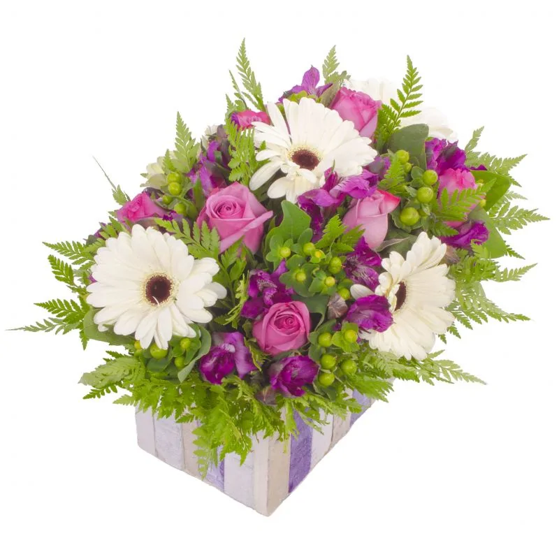Foto 4 Josefa Lila - Arreglo floral con gerberas blancas, rosas ecuatorianas lilas, astromelias moradas e hypericum verde