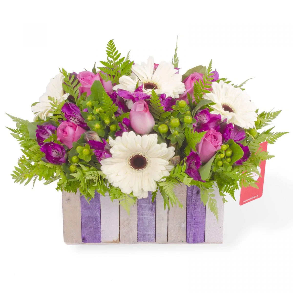 Foto principal Josefa Lila - Arreglo floral con gerberas blancas, rosas ecuatorianas lilas, astromelias moradas e hypericum verde