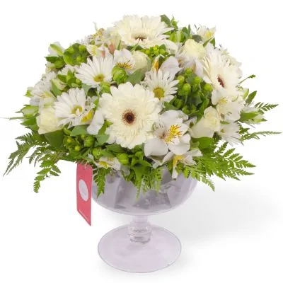 Antonella Blanco - Arreglo floral en florero de copa con rosas, gerberas, astromelias y maules color blanco