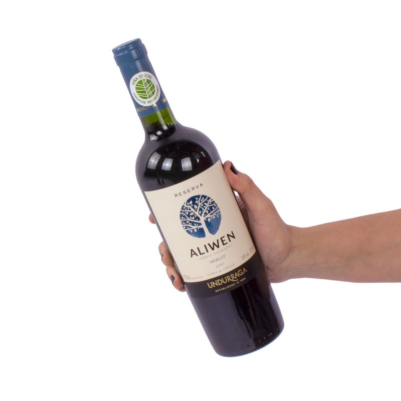 Foto con persona Vino Aliwen - Flores a domicilio Foto con persona Vino Aliwen - Flores a domicilio