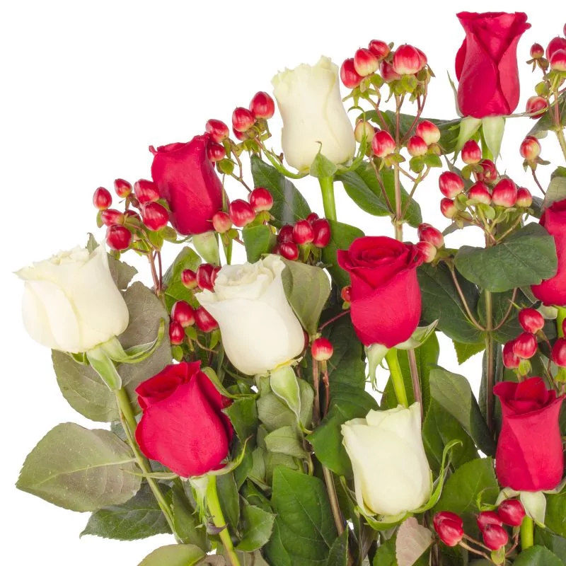 Foto 5 Jardín de Rosas Mix Blanco/Rojo - Arreglo floral con 16 rosas rojas y blancas e hypericum rojo