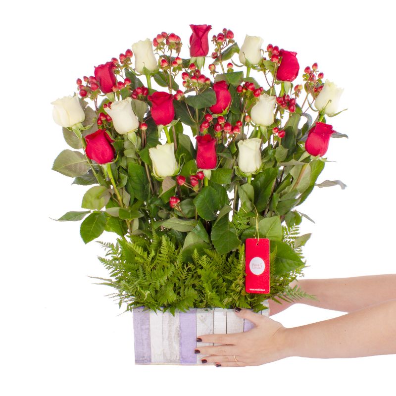 Foto con persona Jardín de Rosas Mix Blanco/Rojo - Flores a domicilio Foto con persona Jardín de Rosas Mix Blanco/Rojo - Flores a domicilio