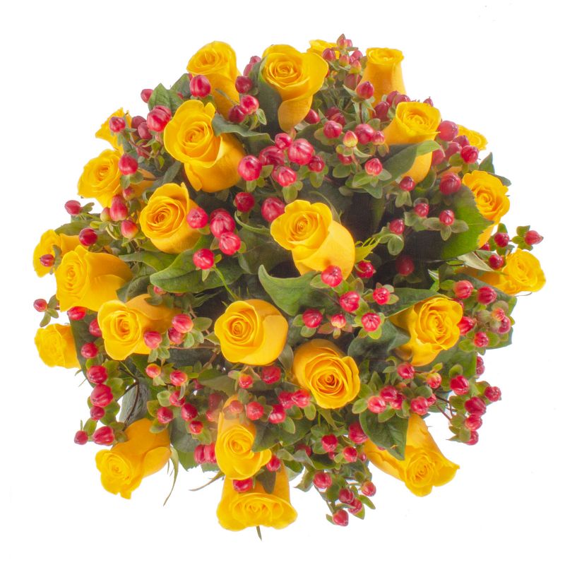 Foto 4 Antonia Amarillo 24 rosas - Flores a domicilio Foto 4 Antonia Amarillo 24 rosas - Flores a domicilio
