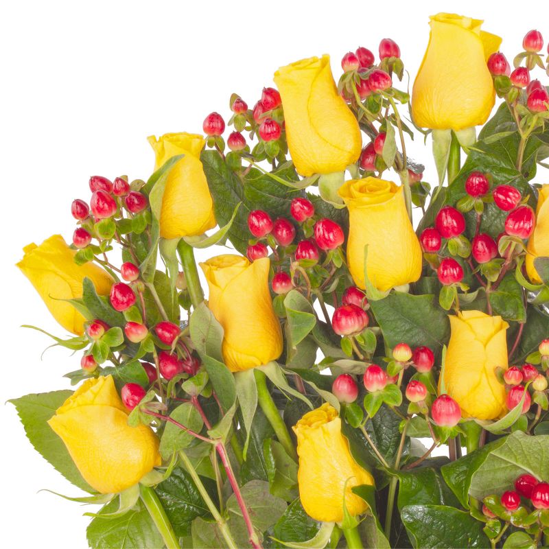 Foto 5 Jardín de Rosas Amarillo - Flores a domicilio Foto 5 Jardín de Rosas Amarillo - Flores a domicilio