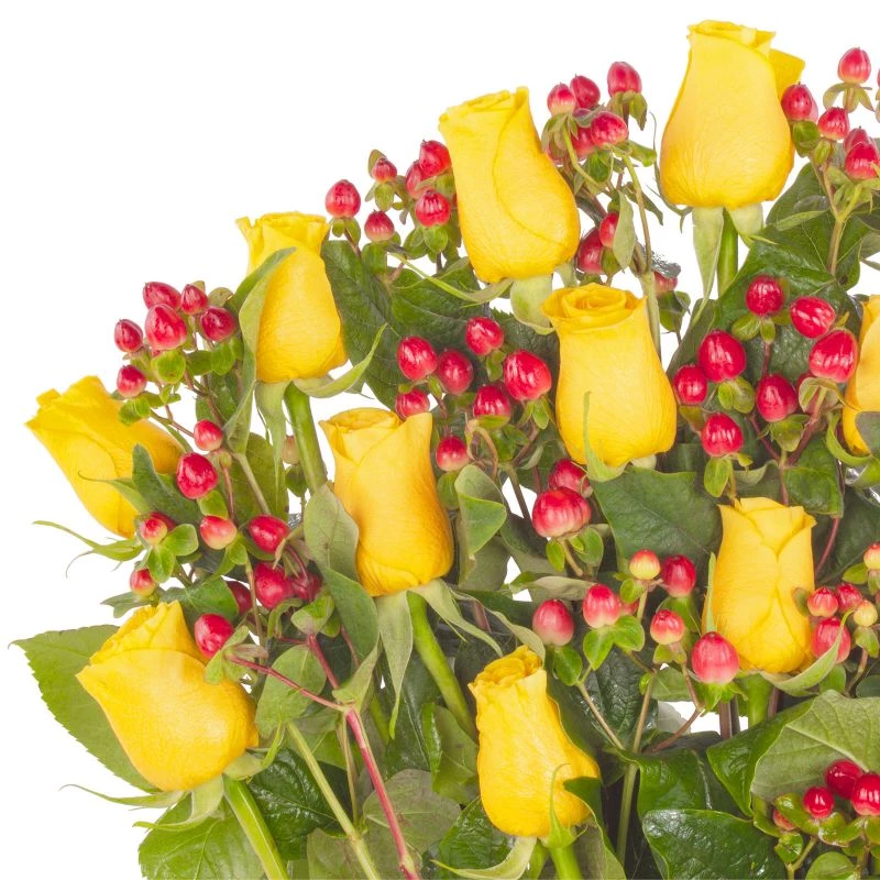 Foto 5 Jardín de Rosas Amarillo - Arreglo floral con 16 rosas amarillas e hypericum rojo