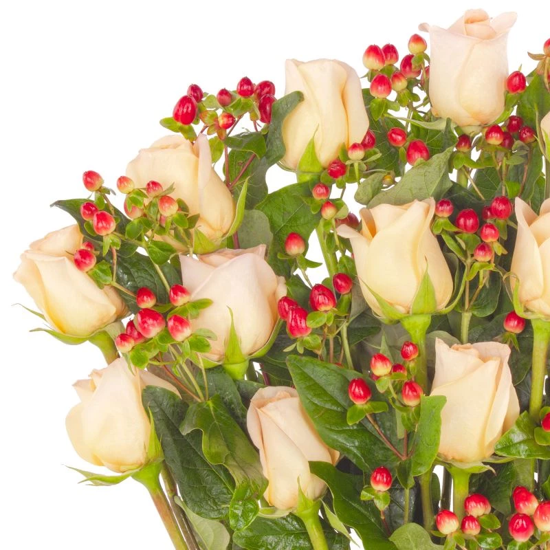 Foto 5 Jardín de Rosas Damasco - Arreglo floral con 16 rosas damasco e hypericum rojo