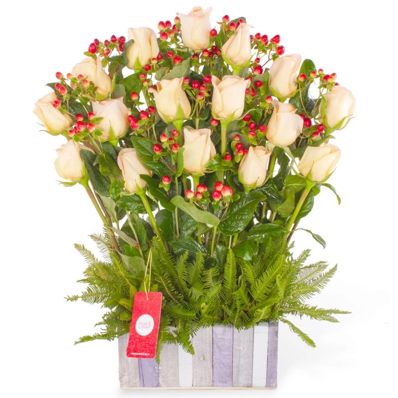 Jardín de Rosas Damasco - Arreglo floral con 16 rosas damasco e hypericum rojo